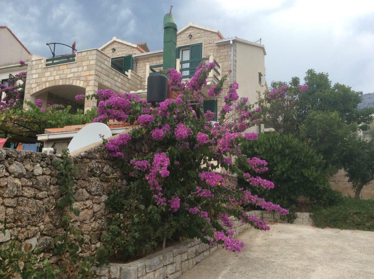 Apartmani Katarina بول المظهر الخارجي الصورة